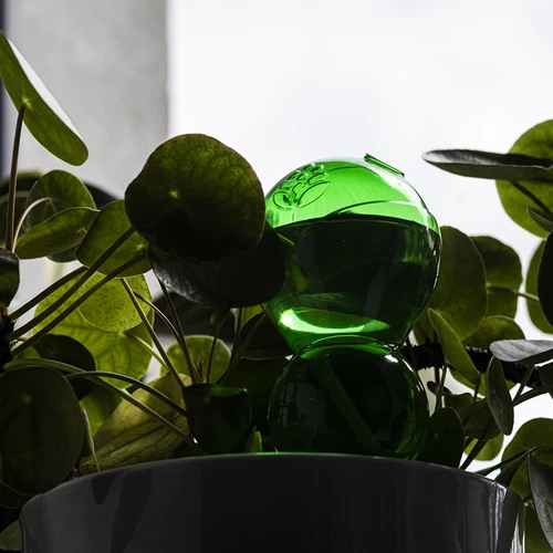 Trīskārša (trīskameru) laistīšanas bumba, caurspīdīgi zaļa, ar keramisku konusu, 600 ml - 7