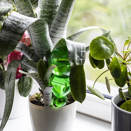 Trīskārša (trīskameru) laistīšanas bumba, caurspīdīgi zaļa, ar keramisku konusu, 600 ml - 8