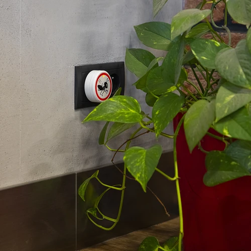 Ultraskaņas skudru atbaidītājs - mājas lietošanai - 8