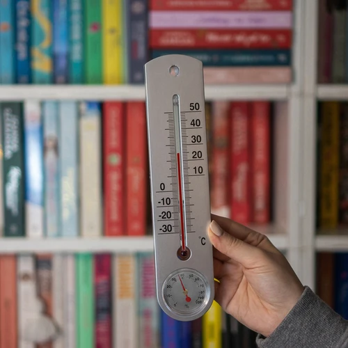 Universāls sudraba krāsas termometrs ar higrometru (no -30°C līdz +50°C) 25 cm - 3