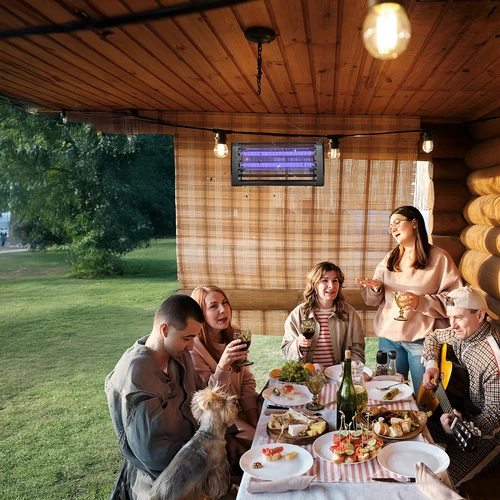 UVA kukaiņu iznīcināšanas lampa 20 W, melna - 9