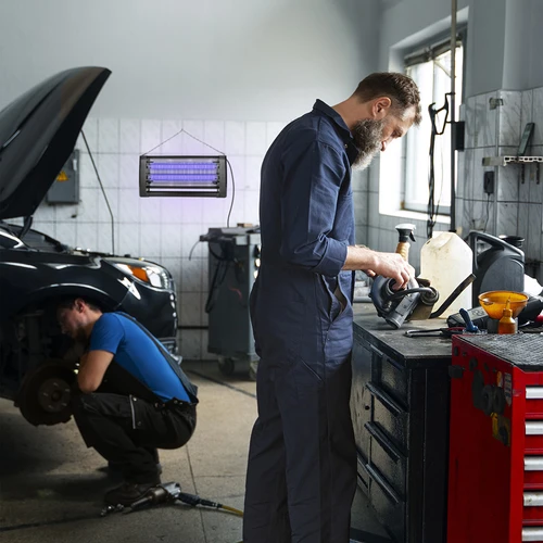 UVA kukaiņu iznīcināšanas lampa 20 W, melna - 11