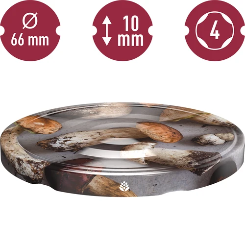 Vāciņš fi 66 Sēnes 2 - 10 gab. - 3