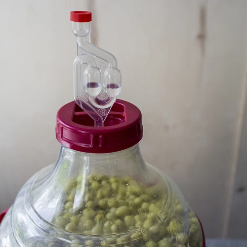 Vīna demižons, viegls, neplīstošs, ar nesšanas siksnām, 20 L - 14