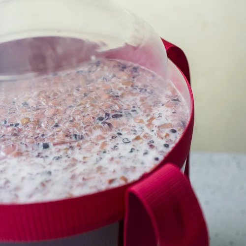 Vīna demižons, viegls, neplīstošs, ar nesšanas siksnām, 20 L - 17