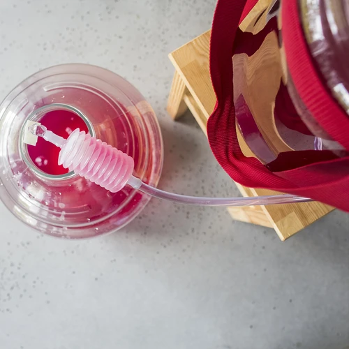 Vīna demižons, viegls, neplīstošs, ar siksnām, 25 L - 18