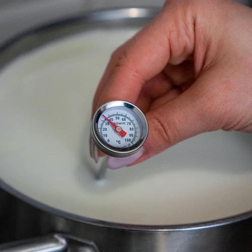 Virtuves termometrs (0 °C līdz +100 °C) 12,3 cm - 5