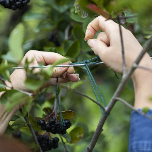 Zaļa kokvilnas aukla 2 mm/55 m/100 g - 7