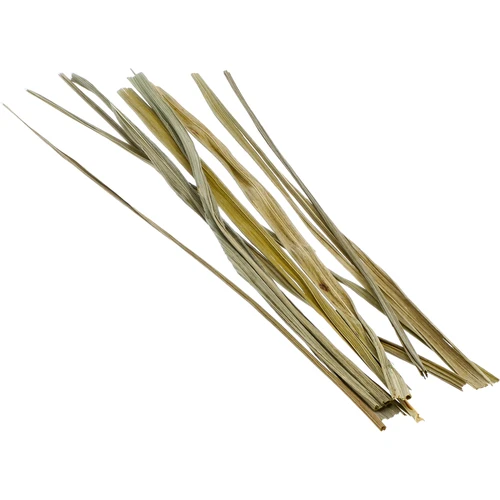 Zubra zāle - smaržīgā turuvka 12 gab. / 4 L - 4