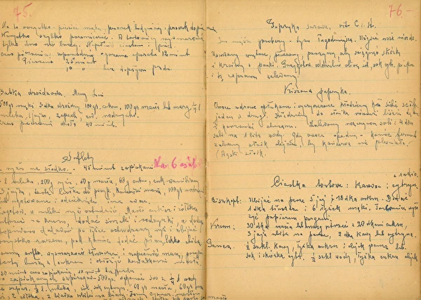 2. sērija: Skābēta paprika ar ozola lapām