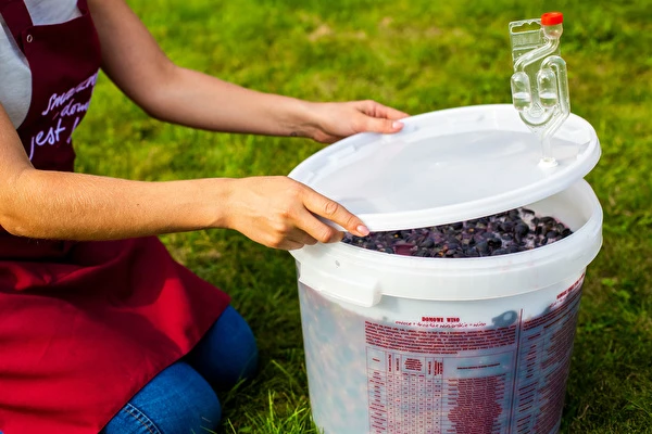 Kā pagatavot vīnu soli pa solim?