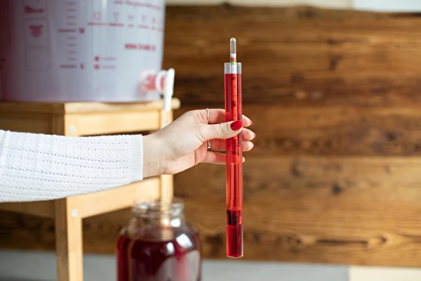 Kā pagatavot vīnu soli pa solim?