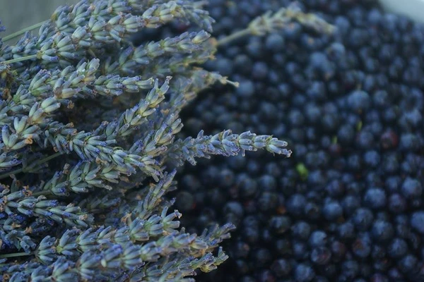 Mājās gatavots lavandas - melleņu vīns