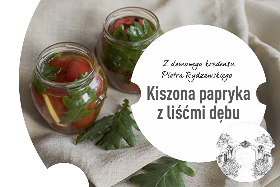2. sērija: Skābēta paprika ar ozola lapām