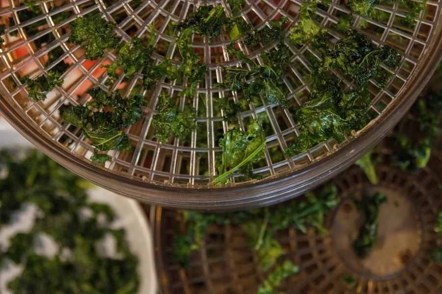 Browin Przepiśnik - Lapu kāposta čipsi