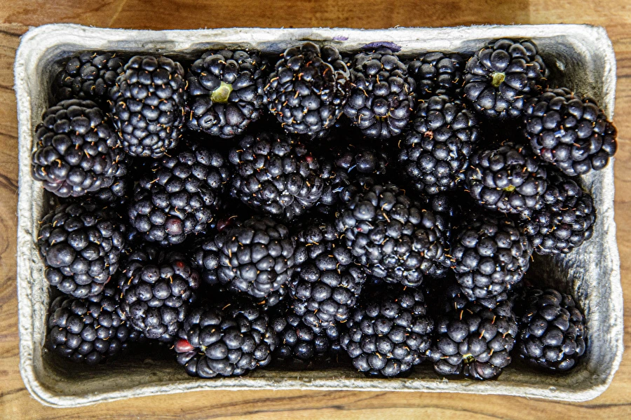 Browin Przepiśnik - Mājas pussalds kazeņu vīns