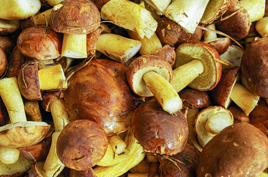 Browin Przepiśnik - Marinētas bekas