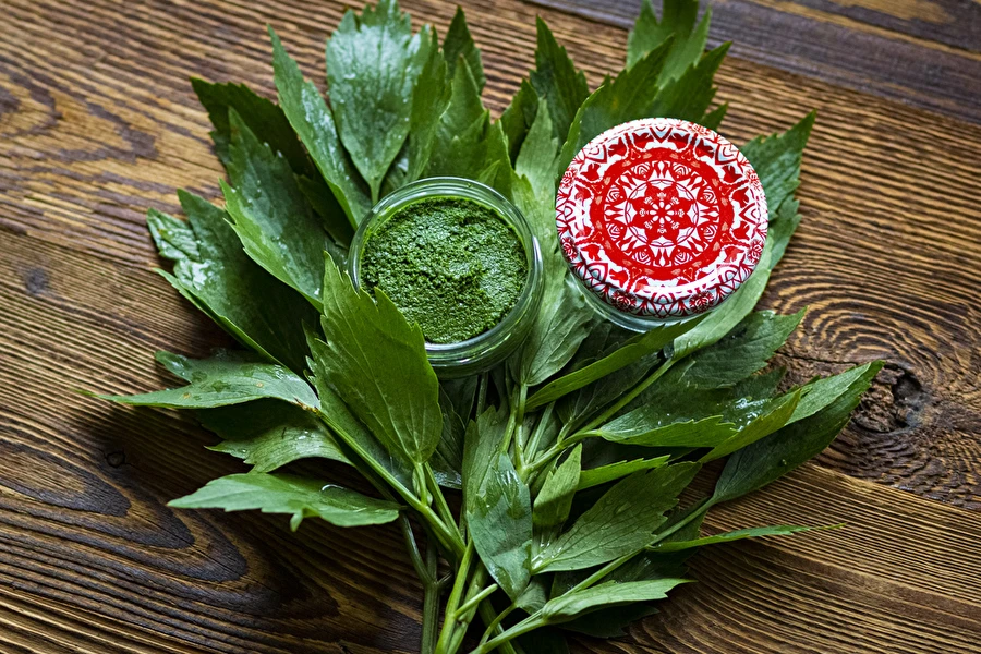 Pasta no lubista — mājās gatavota MAGGI garšviela