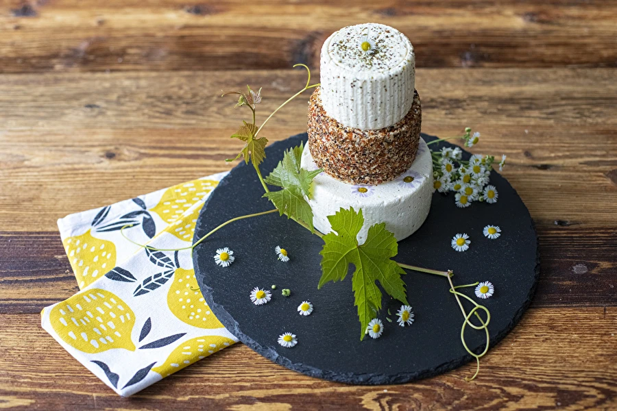 Browin Przepiśnik - Siera torte